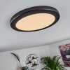 Canditas Plafondpaneel LED Zwart, 1-licht