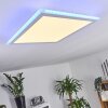 Mota Plafondpaneel LED Wit, 1-licht, Afstandsbediening, Kleurwisselaar