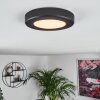 Canditas Plafondpaneel LED Zwart, 1-licht