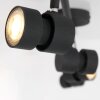 Steinhauer Natasja Plafondlamp LED Zwart, 4-lichts