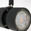 Steinhauer Natasja Plafondlamp LED Zwart, 6-lichts