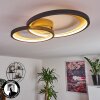 Baiyin Plafondlamp LED Goud, 1-licht