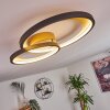 Baiyin Plafondlamp LED Goud, 1-licht