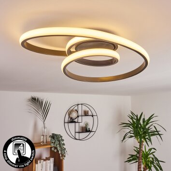 Ignal Plafondlamp LED Grijs, 1-licht