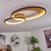 Tuzik Plafondlamp LED Goud, Zwart, 1-licht