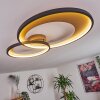 Tuzik Plafondlamp LED Goud, Zwart, 1-licht