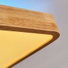 Batamoto Plafondpaneel LED Hout licht, Wit, 2-lichts, Afstandsbediening, Kleurwisselaar