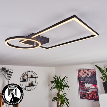 Moya Plafondlamp LED Zwart, 1-licht