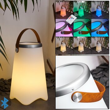 Chilar Tafellamp voor buiten LED Bruin, Wit, 1-licht, Afstandsbediening, Kleurwisselaar