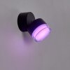 Papagayos Buiten muurverlichting LED Antraciet, 1-licht, Kleurwisselaar