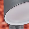 Moroni Padverlichting LED Antraciet, 1-licht
