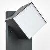 Swanek Padverlichting LED Antraciet, 1-licht