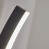 Maseru Buiten muurverlichting LED Antraciet, 1-licht