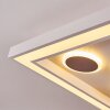 Minichu Plafondlamp LED Wit, 1-licht, Afstandsbediening