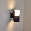Swanek Buiten muurverlichting LED Zwart, 1-licht