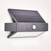 Wiborg Solarlamp LED Antraciet, 1-licht, Bewegingsmelder