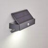 Wiborg Solarlamp LED Antraciet, 1-licht, Bewegingsmelder