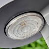 Portmore Solarlamp LED Grijs, 1-licht