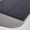 Camden Solarlamp LED Grijs, 1-licht, Bewegingsmelder