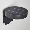 Townsville Solarlamp LED Zwart, 1-licht, Bewegingsmelder