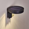 Townsville Solarlamp LED Zwart, 1-licht, Bewegingsmelder