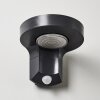 Townsville Solarlamp LED Zwart, 1-licht, Bewegingsmelder