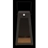 Globo SOLAR Solarlamp LED Zwart, 1-licht