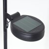 Rovinj Solarlamp LED Koperkleurig, Zwart, 1-licht