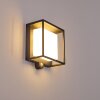 Lansing Buiten muurverlichting LED Antraciet, 1-licht, Bewegingsmelder