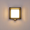 Lansing Buiten muurverlichting LED Antraciet, 1-licht, Bewegingsmelder
