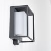 Lansing Buiten muurverlichting LED Antraciet, 1-licht, Bewegingsmelder