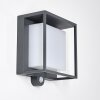 Lansing Buiten muurverlichting LED Antraciet, 1-licht, Bewegingsmelder