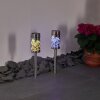 Gorizia Solarlamp LED roestvrij staal, 2-lichts, Kleurwisselaar