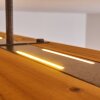 Adak Plafondlamp LED Grijs, 1-licht