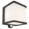 Lutec DOBLO Solarlamp LED Antraciet, 1-licht, Bewegingsmelder