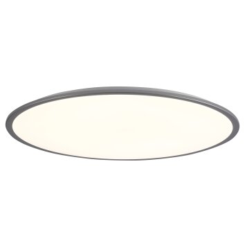 Brilliant Jamil Plafondpaneel LED Zilver, 1-licht, Afstandsbediening