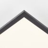 Brilliant Jacinda Plafondpaneel LED Zwart, 1-licht, Afstandsbediening