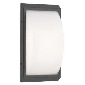 LCD 053SEN Buiten muurverlichting Zwart, 1-licht, Bewegingsmelder