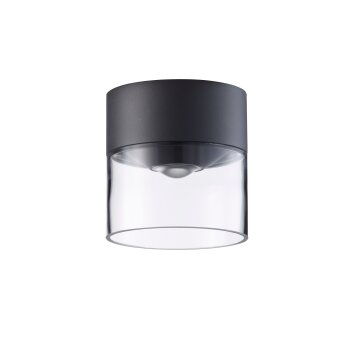 LCD 5068 Buitenshuis plafond verlichting LED Zwart, 1-licht