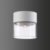 LCD 5069 Buitenshuis plafond verlichting LED Wit, 1-licht