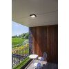Lutec Helena Buitenshuis plafond verlichting LED Antraciet, 1-licht