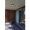 Lutec Helena Buitenshuis plafond verlichting LED Antraciet, 1-licht