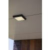 Lutec Helena Buitenshuis plafond verlichting LED Antraciet, 1-licht