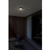 Lutec Helena Buitenshuis plafond verlichting LED Antraciet, 1-licht