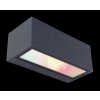 Lutec GEMINI Buiten muurverlichting LED Antraciet, 2-lichts, Kleurwisselaar