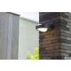 Lutec Fele Buiten muurverlichting LED Antraciet, 1-licht