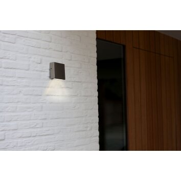Lutec Gemini XF Buiten muurverlichting LED roestvrij staal, 1-licht