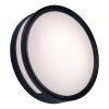 Lutec Rola Buitenshuis plafond verlichting LED Zwart, 1-licht