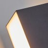 Swanek Buiten muurverlichting LED Antraciet, 1-licht