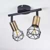 Baripada Plafondlamp Messing, Zwart, 2-lichts